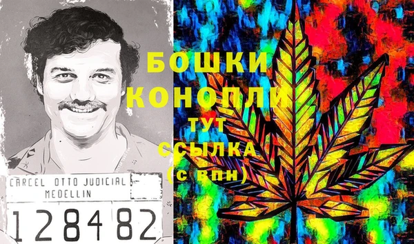 дживик Вуктыл